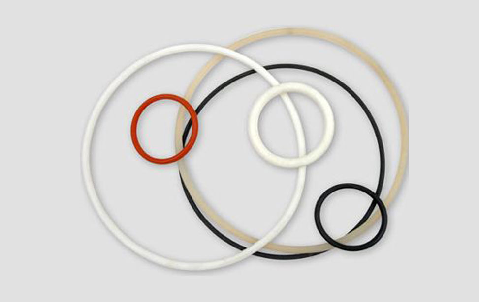 Encapsulated O-rings