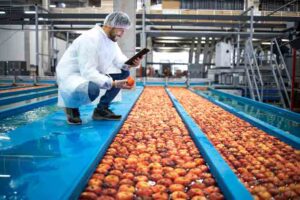 Food & Beverage Industry